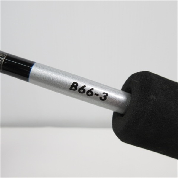 ２１グラップラーＢＢＢ６６ー３